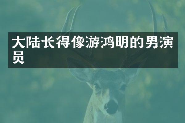 大陆长得像游鸿明的男演员