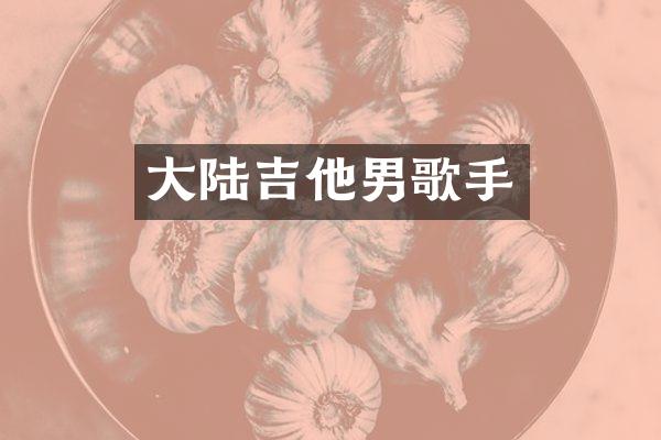 大陆吉他男歌手