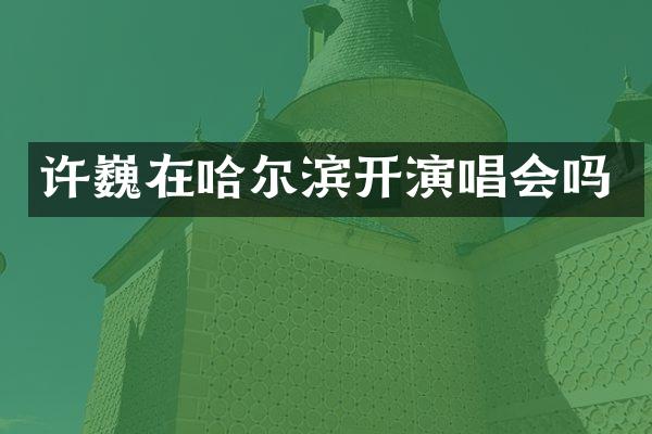 许巍在哈尔滨开演唱会吗