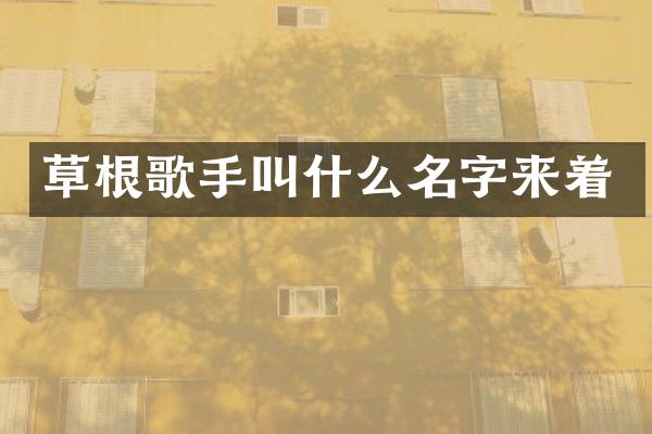 草根歌手叫什么名字来着