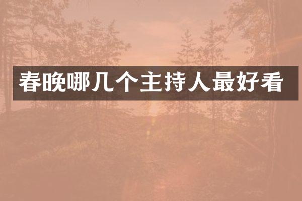 哪几个主持人最好看