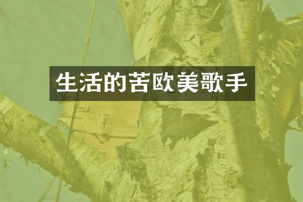 生活的苦欧美歌手