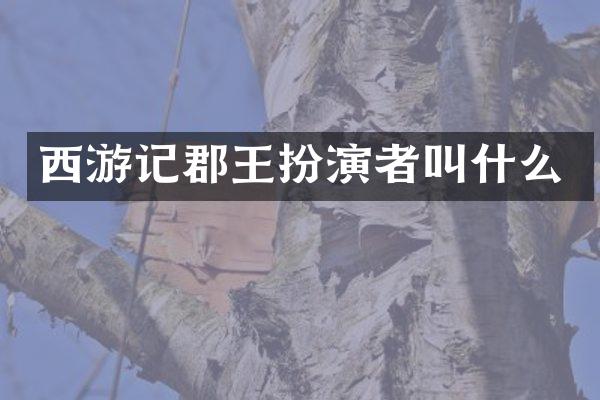 西游记郡王扮演者叫什么