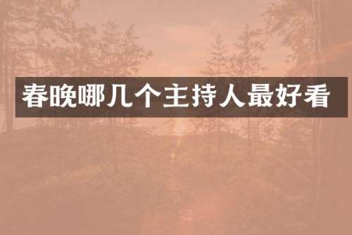 哪几个主持人最好看