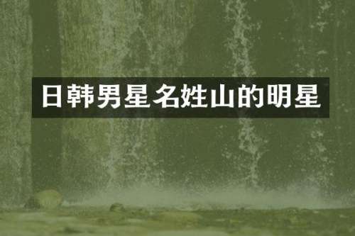 日韩男星名姓山的明星