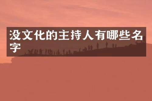 没文化的主持人有哪些名字