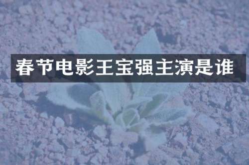 春节电影王宝强主演是谁