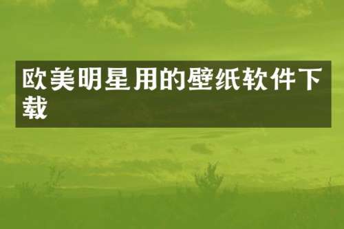 欧美明星用的壁纸软件下载