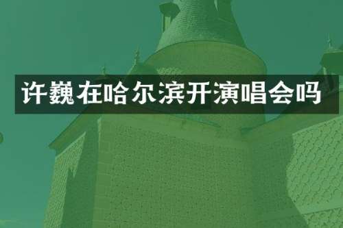 许巍在哈尔滨开演唱会吗