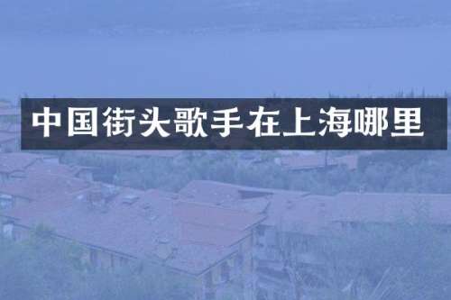 中国街头歌手在上海哪里