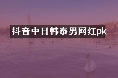 抖音中日韩泰男网红pk