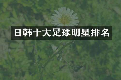 日韩十大足球明星排名