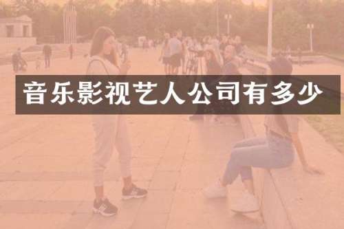 音乐影视艺人公司有多少