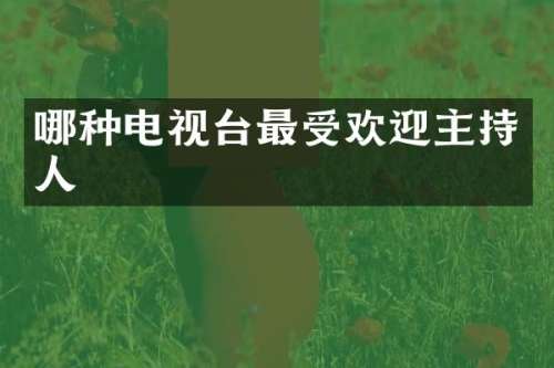 哪种电视台最受欢迎主持人