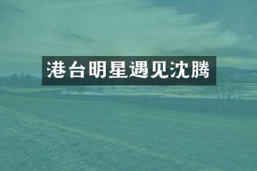 港台明星遇见沈腾