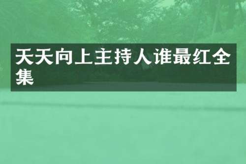 天天向上主持人谁最红全集