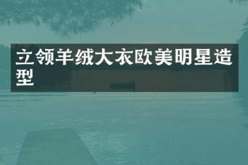 立领羊绒大衣欧美明星造型