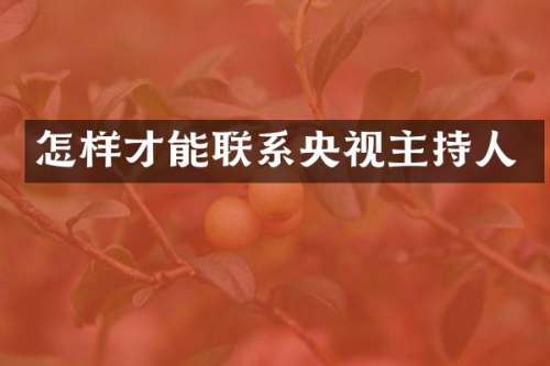 怎样才能联系央视主持人