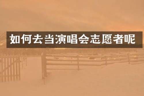 如何去当演唱会志愿者呢
