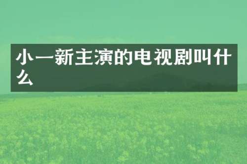 小一新主演的电视剧叫什么