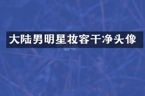 大陆男明星妆容干净头像