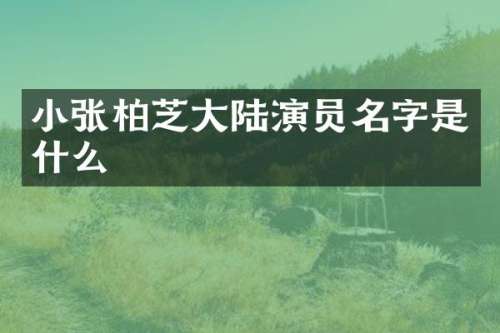 小张柏芝大陆演员名字是什么
