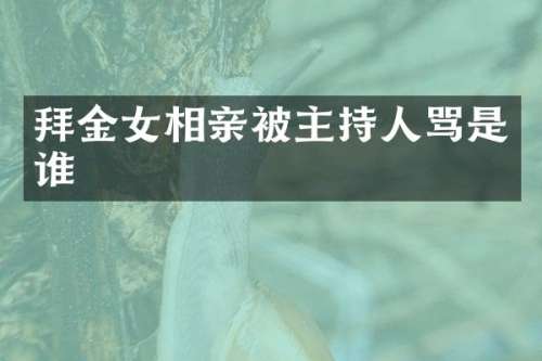 拜金女相亲被主持人骂是谁