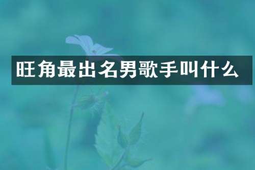 旺角最出名男歌手叫什么