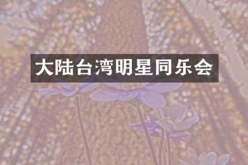 大陆台湾明星同乐会