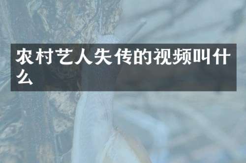 农村艺人失传的视频叫什么