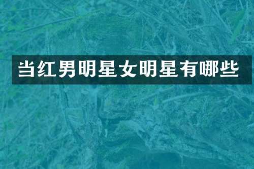 当红男明星女明星有哪些