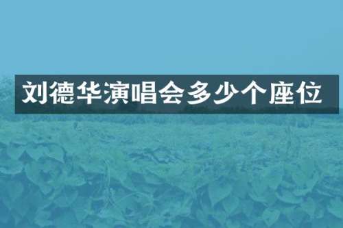 刘德华演唱会多少个座位