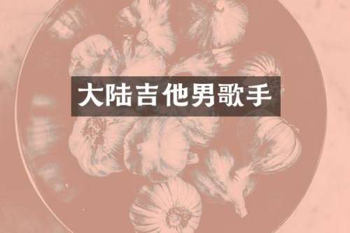 大陆吉他男歌手