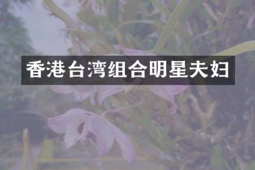 香港台湾组合明星夫妇