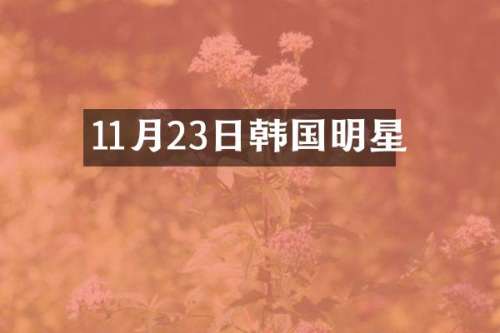 11月23日韩国明星