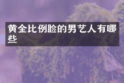 黄金比例脸的男艺人有哪些