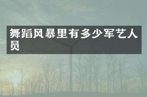 舞蹈风暴里有多少军艺人员