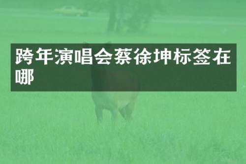 跨年演唱会蔡徐坤标签在哪