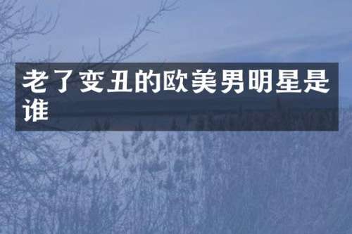 老了变丑的欧美男明星是谁