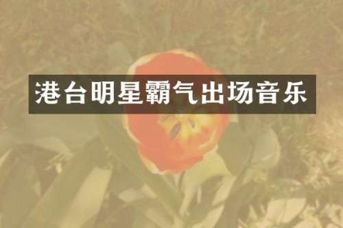 港台明星霸气出场音乐