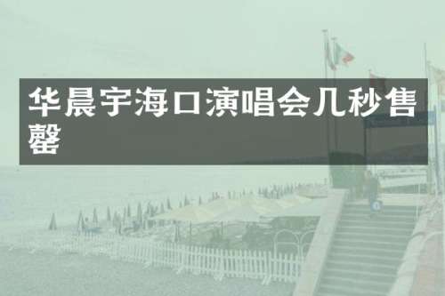 华晨宇海口演唱会几秒售罄