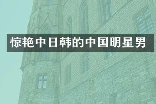 惊艳中日韩的中国明星男