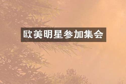 欧美明星参加集会