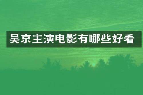 吴京主演电影有哪些好看