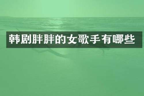 韩剧胖胖的女歌手有哪些