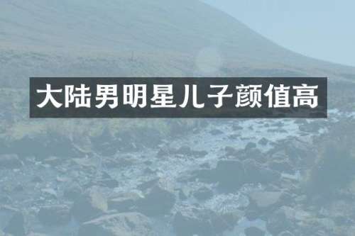 大陆男明星儿子颜值高