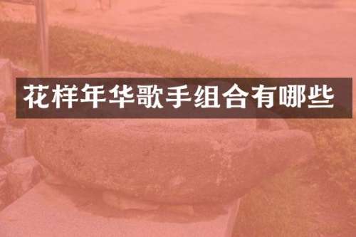 花样年华歌手组合有哪些