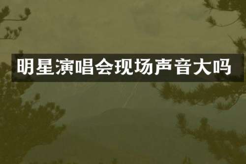 明星演唱会现场声音大吗