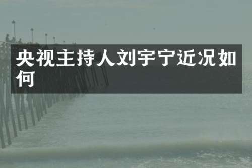 央视主持人刘宇宁近况如何