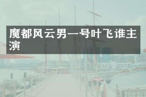 魔都风云男一号叶飞谁主演